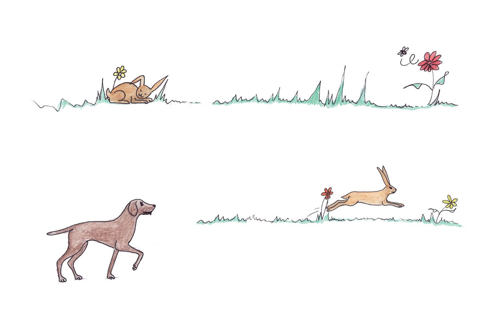 Haren hist i grøften